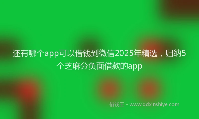 还有哪个app可以借钱到微信2025年精选，归纳5个芝麻分负面借款的app
