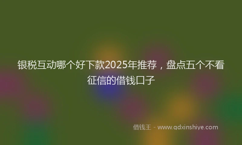 银税互动哪个好下款2025年推荐，盘点五个不看征信的借钱口子