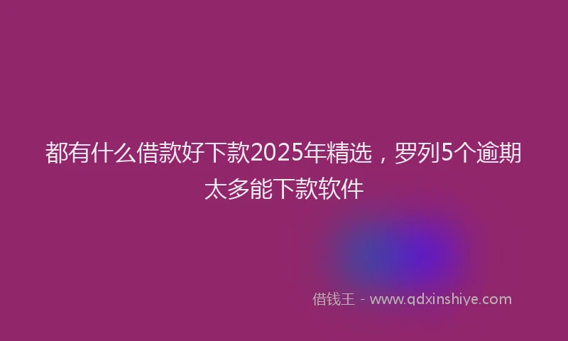 都有什么借款好下款2025年精选，罗列5个逾期太多能下款软件