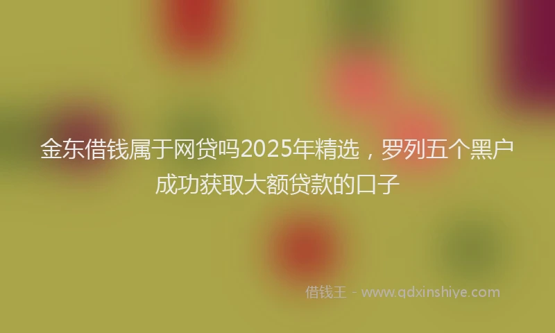 金东借钱属于网贷吗2025年精选，罗列五个黑户成功获取大额贷款的口子