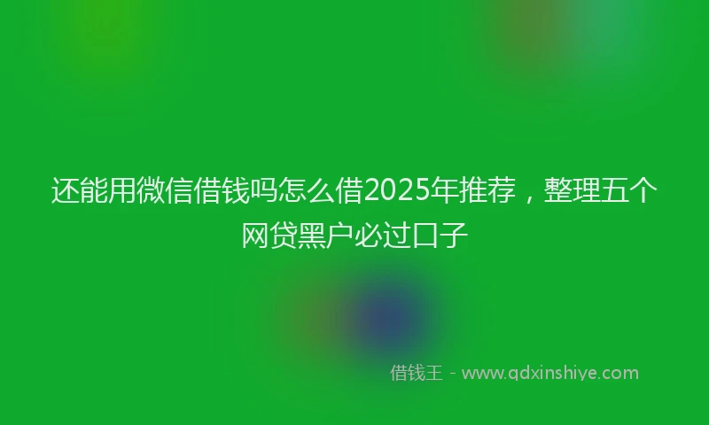 还能用微信借钱吗怎么借2025年推荐，整理五个网贷黑户必过口子