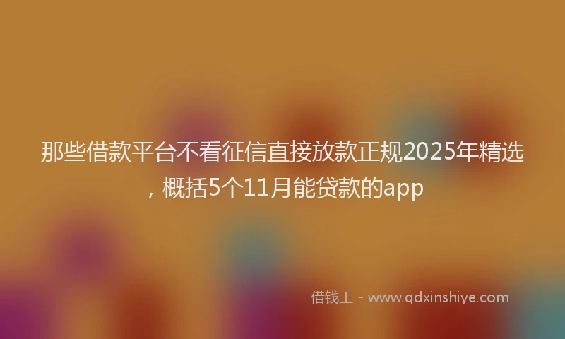 那些借款平台不看征信直接放款正规2025年精选，概括5个11月能贷款的app