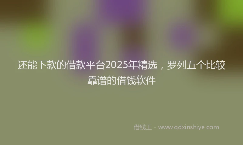 还能下款的借款平台2025年精选，罗列五个比较靠谱的借钱软件