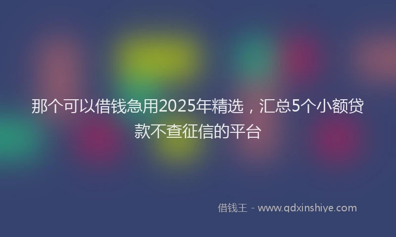 那个可以借钱急用2025年精选，汇总5个小额贷款不查征信的平台