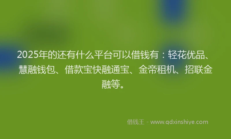 2025年的还有什么平台可以借钱有：轻花优品、慧融钱包、借款宝快融通宝、金帝租机、招联金融等。