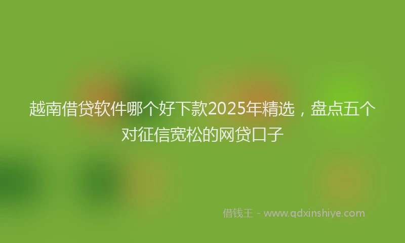 越南借贷软件哪个好下款2025年精选，盘点五个对征信宽松的网贷口子
