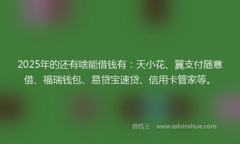2025年的还有啥能借钱有：天小花、翼支付随意借、福瑞钱包、易贷宝速贷、信用卡管家等。