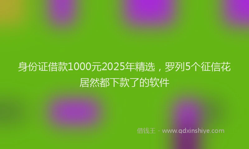 身份证借款1000元2025年精选，罗列5个征信花居然都下款了的软件