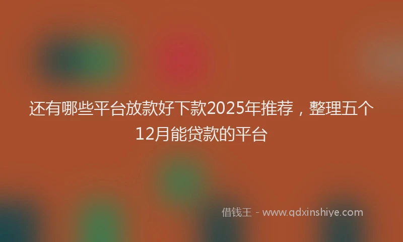 还有哪些平台放款好下款2025年推荐，整理五个12月能贷款的平台