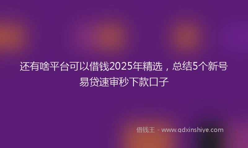还有啥平台可以借钱2025年精选，总结5个新号易贷速审秒下款口子