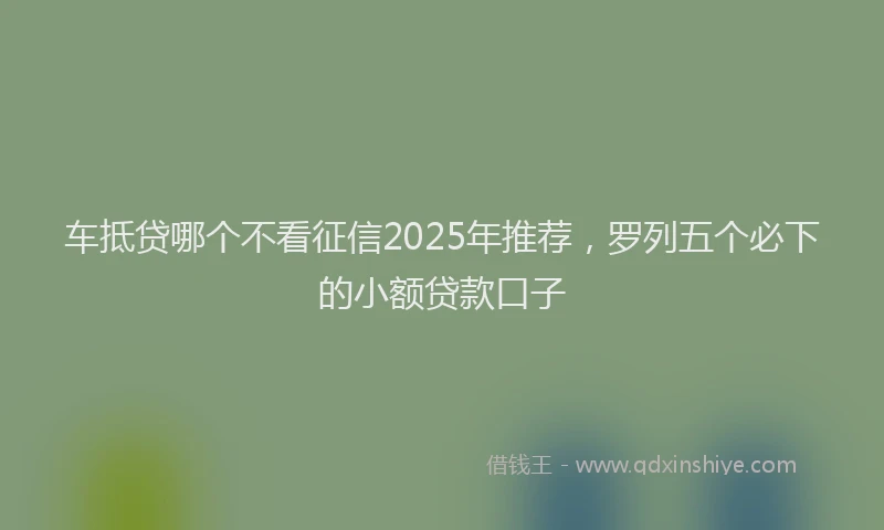 车抵贷哪个不看征信2025年推荐，罗列五个必下的小额贷款口子