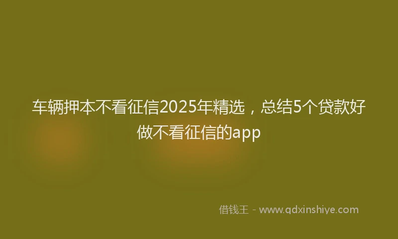 车辆押本不看征信2025年精选，总结5个贷款好做不看征信的app