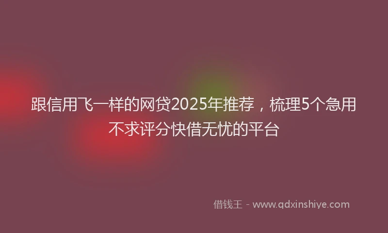 跟信用飞一样的网贷2025年推荐，梳理5个急用不求评分快借无忧的平台