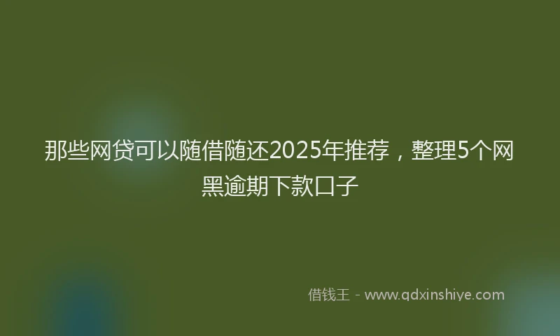 那些网贷可以随借随还2025年推荐，整理5个网黑逾期下款口子