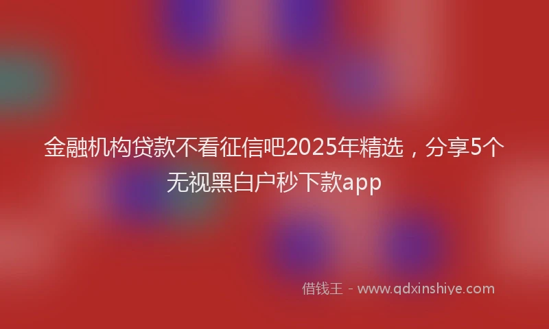 金融机构贷款不看征信吧2025年精选，分享5个无视黑白户秒下款app