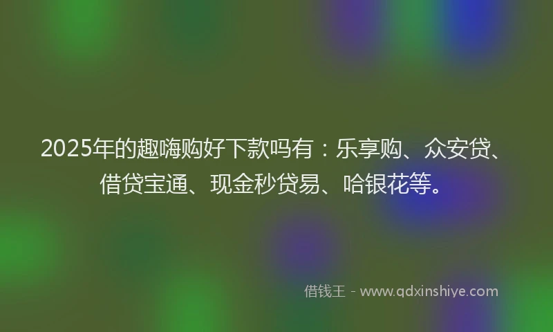 2025年的趣嗨购好下款吗有：乐享购、众安贷、借贷宝通、现金秒贷易、哈银花等。
