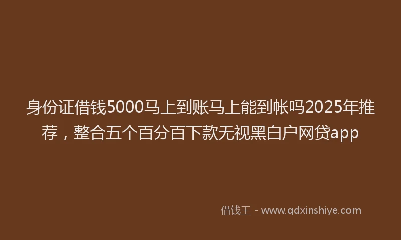 身份证借钱5000马上到账马上能到帐吗2025年推荐，整合五个百分百下款无视黑白户网贷app