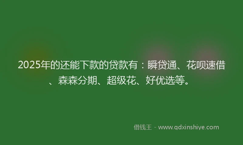 2025年的还能下款的贷款有：瞬贷通、花呗速借、森森分期、超级花、好优选等。