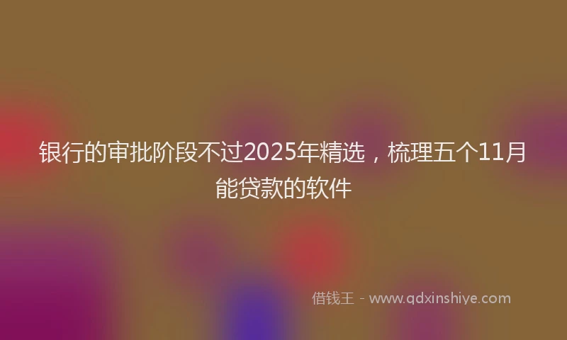 银行的审批阶段不过2025年精选，梳理五个11月能贷款的软件