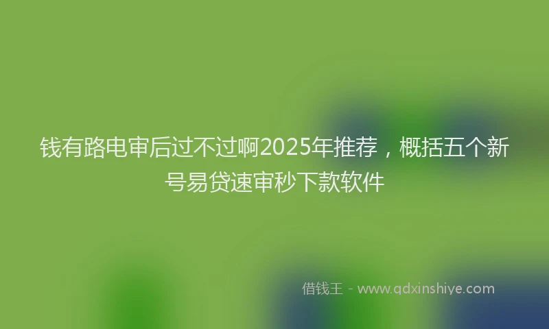 钱有路电审后过不过啊2025年推荐，概括五个新号易贷速审秒下款软件