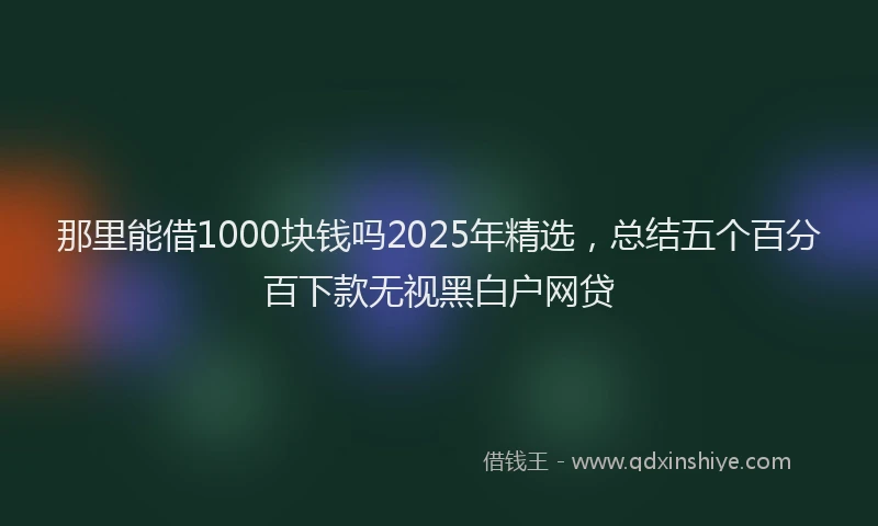 那里能借1000块钱吗2025年精选，总结五个百分百下款无视黑白户网贷