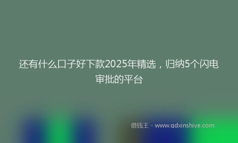 还有什么口子好下款2025年精选，归纳5个闪电审批的平台