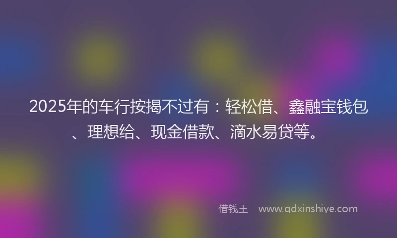 2025年的车行按揭不过有：轻松借、鑫融宝钱包、理想给、现金借款、滴水易贷等。