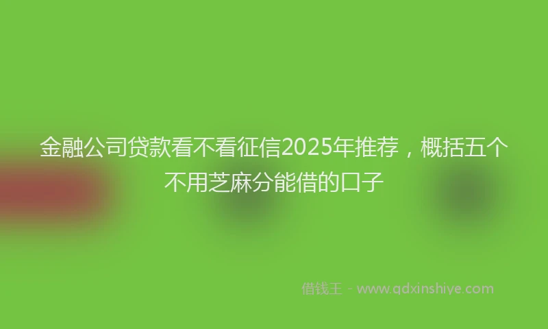 金融公司贷款看不看征信2025年推荐，概括五个不用芝麻分能借的口子