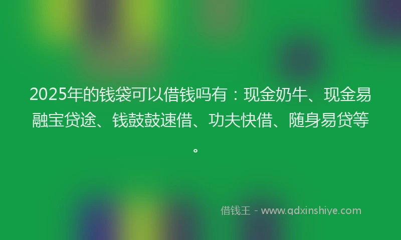 2025年的钱袋可以借钱吗有：现金奶牛、现金易融宝贷途、钱鼓鼓速借、功夫快借、随身易贷等。