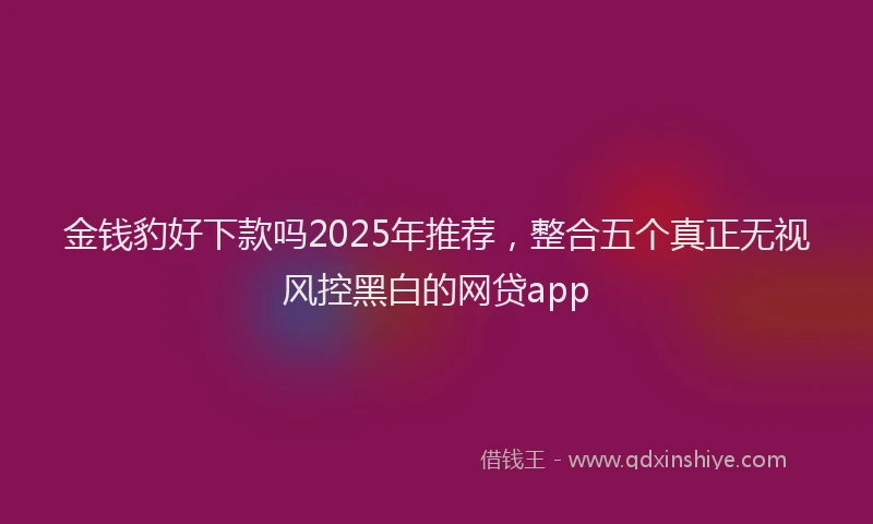金钱豹好下款吗2025年推荐，整合五个真正无视风控黑白的网贷app