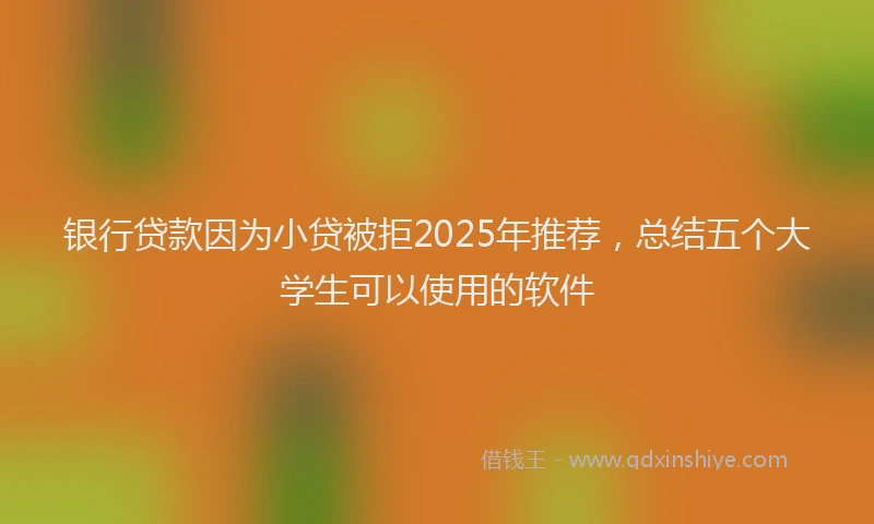 银行贷款因为小贷被拒2025年推荐，总结五个大学生可以使用的软件