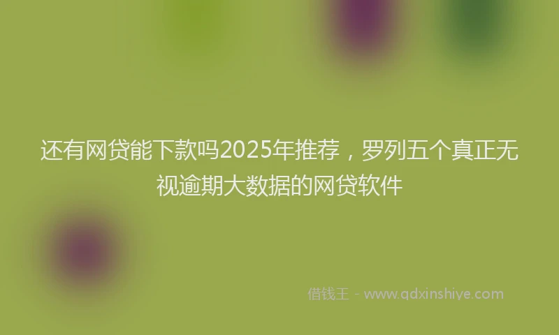 还有网贷能下款吗2025年推荐，罗列五个真正无视逾期大数据的网贷软件