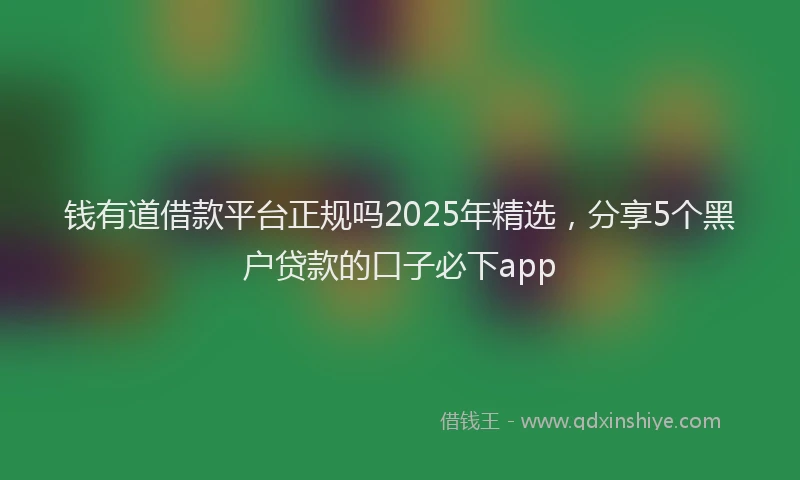 钱有道借款平台正规吗2025年精选，分享5个黑户贷款的口子必下app