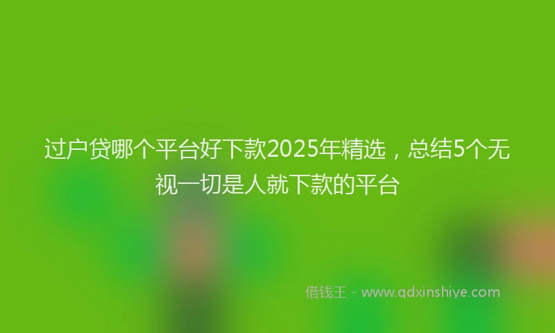 过户贷哪个平台好下款2025年精选，总结5个无视一切是人就下款的平台
