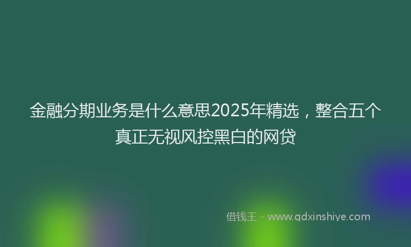 金融分期业务是什么意思2025年精选，整合五个真正无视风控黑白的网贷