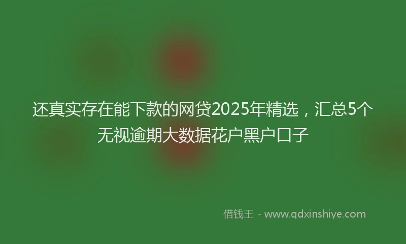 还真实存在能下款的网贷2025年精选，汇总5个无视逾期大数据花户黑户口子