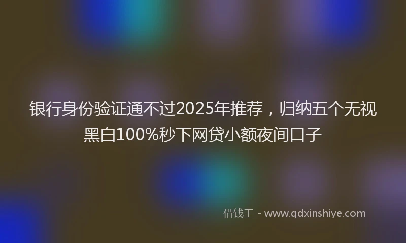 银行身份验证通不过2025年推荐，归纳五个无视黑白100%秒下网贷小额夜间口子