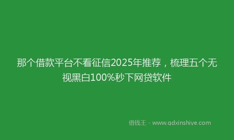 那个借款平台不看征信2025年推荐，梳理五个无视黑白100%秒下网贷软件