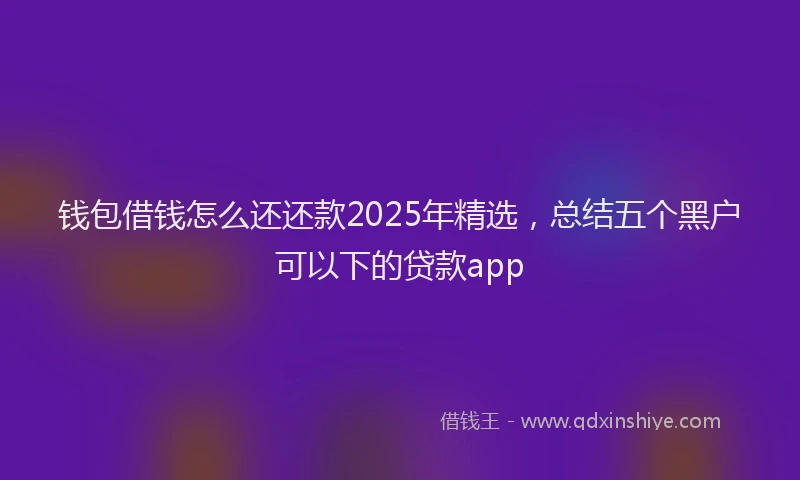 钱包借钱怎么还还款2025年精选，总结五个黑户可以下的贷款app