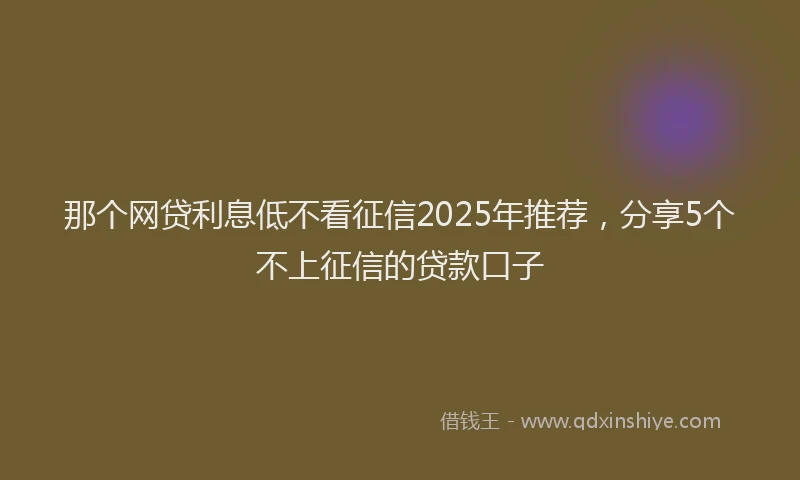那个网贷利息低不看征信2025年推荐，分享5个不上征信的贷款口子