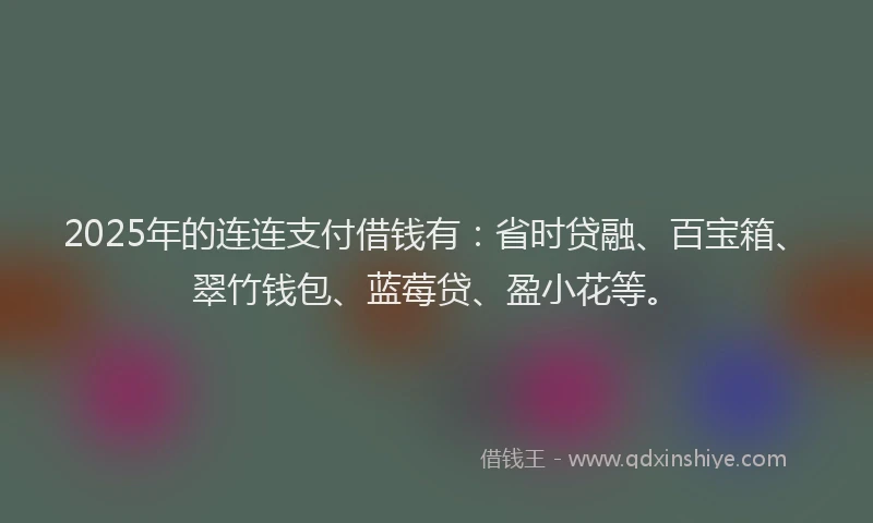 2025年的连连支付借钱有：省时贷融、百宝箱、翠竹钱包、蓝莓贷、盈小花等。