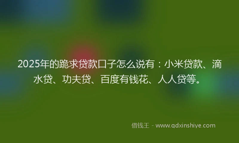 2025年的跪求贷款口子怎么说有：小米贷款、滴水贷、功夫贷、百度有钱花、人人贷等。