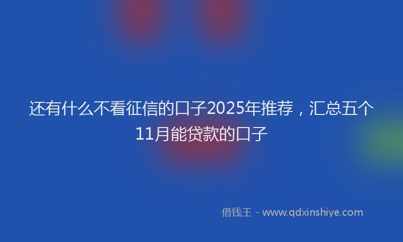 还有什么不看征信的口子2025年推荐，汇总五个11月能贷款的口子