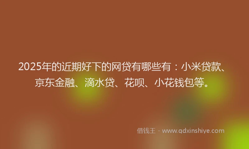 2025年的近期好下的网贷有哪些有：小米贷款、京东金融、滴水贷、花呗、小花钱包等。