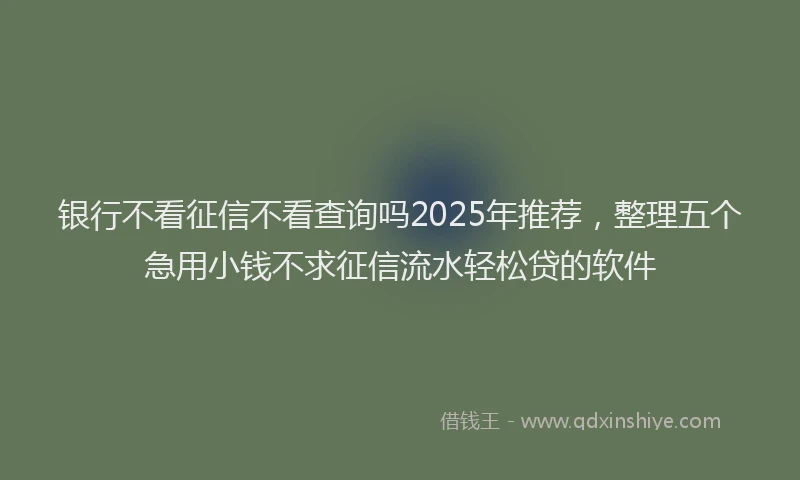 银行不看征信不看查询吗2025年推荐，整理五个急用小钱不求征信流水轻松贷的软件