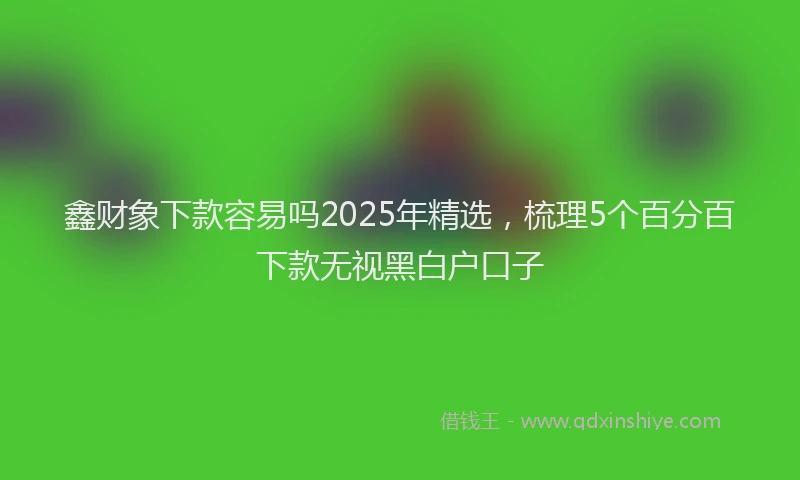 鑫财象下款容易吗2025年精选，梳理5个百分百下款无视黑白户口子