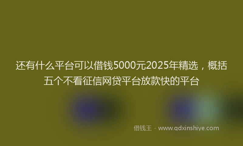 还有什么平台可以借钱5000元2025年精选，概括五个不看征信网贷平台放款快的平台