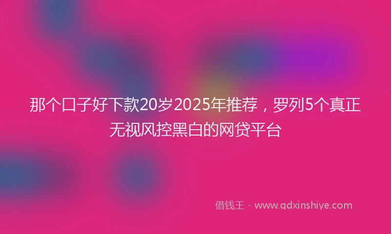 那个口子好下款20岁2025年推荐，罗列5个真正无视风控黑白的网贷平台