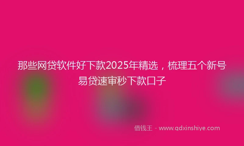那些网贷软件好下款2025年精选，梳理五个新号易贷速审秒下款口子