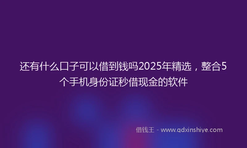 还有什么口子可以借到钱吗2025年精选，整合5个手机身份证秒借现金的软件
